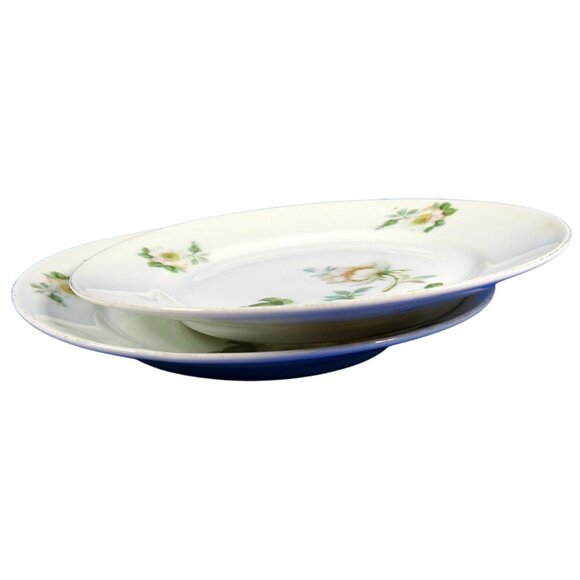 Koenigszelt Silesia Germany Wild Roses Set of 2 Antique 1920s Dessert Plates - Picture 3 of 6